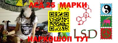 ГАЛЛЮЦИНОГЕННЫЕ ГРИБЫ Кингисепп