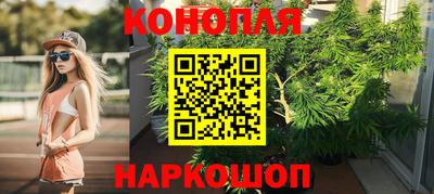 ГАЛЛЮЦИНОГЕННЫЕ ГРИБЫ Кингисепп